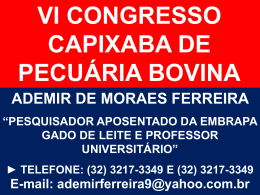 Vacas em Lacta&ccedil;&atilde;o