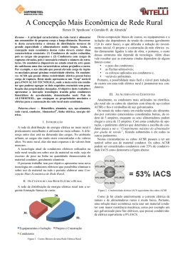 A concep&ccedil;&atilde;o mais econ&ocirc;mica de rede rural.