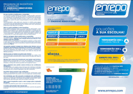 Imprimir FLYER do Protocolo do Governo
