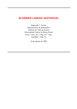 Álgebra Linear Matricial - Centro de Informática da UFPE