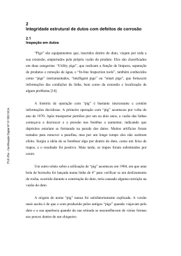 2 Integridade estrutural de dutos com defeitos de corros&atilde;o