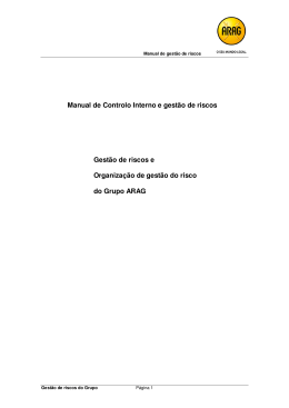Manual de Controlo Interno e gest&atilde;o de riscos Gest&atilde;o de