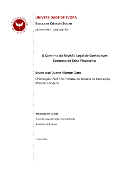 relatorio_estagio_mestrado_contabilidade_Bruno Claro