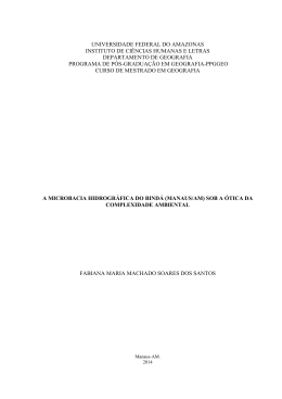 Disserta&ccedil;&atilde;o - Fabiana Maria Machado Soares do - TEDE