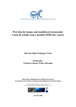 Ricardo Tom&eacute;, 2004, Previs&atilde;o do tempo com modelos de
