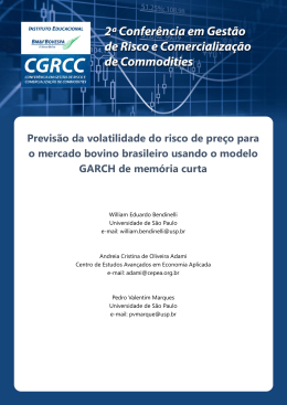 Previs&atilde;o da volatilidade do risco de pre&ccedil;o para o