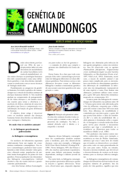 Gen&eacute;tica de Camundongos