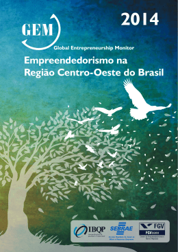 Empreendedorismo na Regi&atilde;o Centro-Oeste do Brasil