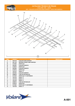 CAT&Aacute;LOGO T&Eacute;CNICO DE PE&Ccedil;AS VOLARE W8 - 2009