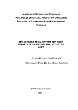 IMPLANTA&Ccedil;&Atilde;O DE UM SISTEMA ERP COMO SUPORTE