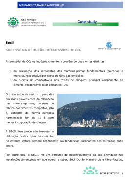 Visualizar PDF - BCSD Portugal