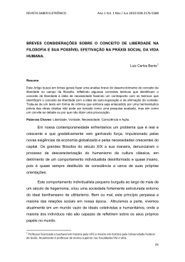 BREVES CONSIDERA&Ccedil;&Otilde;ES SOBRE O CONCEITO DE