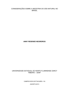considera&ccedil;&otilde;es sobre a ind&uacute;stria do g&aacute;s natural no brasil