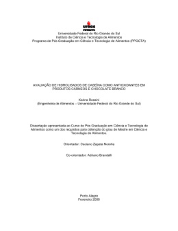 Instituto de Ci&ecirc;ncia e Tecnologia de Alimentos Programa de P&oacute;s