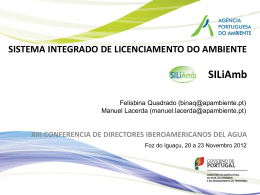 SILiAmb