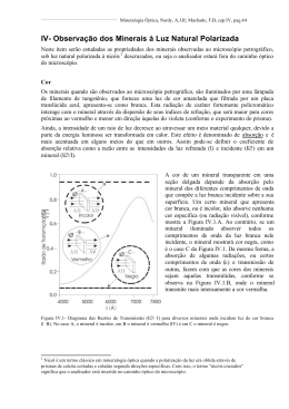 IV- Observação dos Minerais à Luz Natural Polarizada