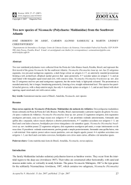 Zootaxa,Two new species of Nicomache