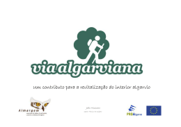 Um contributo para a revitalização do interior algarvio