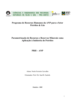 Programa de Recursos Humanos da ANP para o Setor Petr&oacute;leo