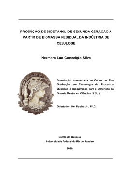 PRODU&Ccedil;&Atilde;O DE BIOETANOL DE SEGUNDA GERA&Ccedil;&Atilde;O