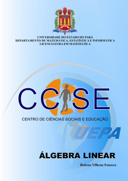 &Aacute;lgebra Linear com Exerc&iacute;cios