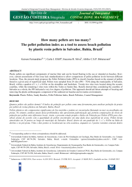 The pellet pollution index as a tool to assess beach pollution