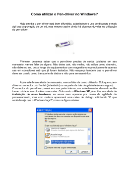 Como utilizar o Pen-driver no Windows XP?