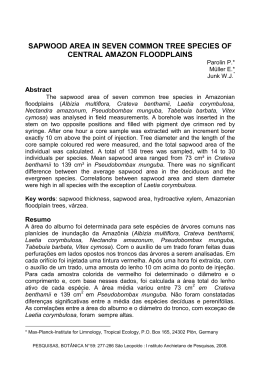 sapwood area in seven common tree species of central amazon