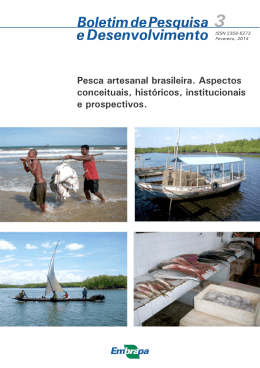 Pesca artesanal brasileira. Aspectos conceituais, hist&oacute;ricos