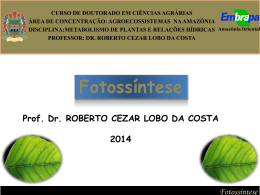 Apresenta&ccedil;&atilde;o fotoss&iacute;ntese FINAL
