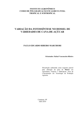 VARIA&Ccedil;&Atilde;O DA FOTOSS&Iacute;NTESE NO DOSSEL DE