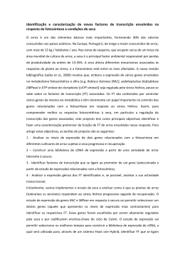 Identifica&ccedil;&atilde;o e caracteriza&ccedil;&atilde;o de novos factores de