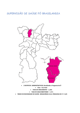 Relatório da Supervisão Técnica de Saúde Fó Brasilândia - PUC-SP