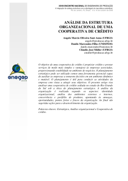 an&aacute;lise da estrutura organizacional de uma cooperativa de cr&eacute;dito