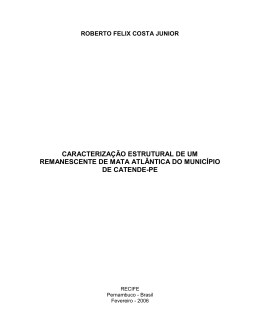ROBERTO FELIX COSTA JUNIOR