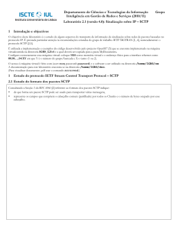 Departamento de Ci&ecirc;ncias e Tecnologias da Informa&ccedil;&atilde;o