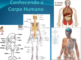 Conhecendo o Corpo Humano