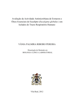 V&Acirc;NIA PALMIRA RIBEIRO PEREIRA Avalia&ccedil;&atilde;o da Actividade