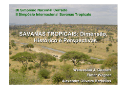 Savanas tropicais: dimensão, histórico e perspectivas