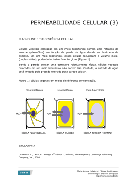 um experimento de osmose (cebola roxa) PDF