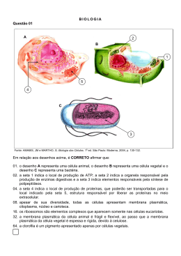 Prova comentada - Vestibular UFSC 2007