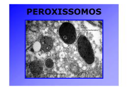 PEROXISSOMOS