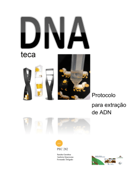 Extração ADN (645036)