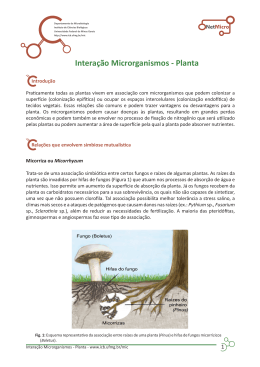 Interação Microrganismos - Planta - Universidade Federal de Minas
