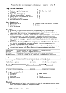 Respostas dos exerc&iacute;cios para sala de aula