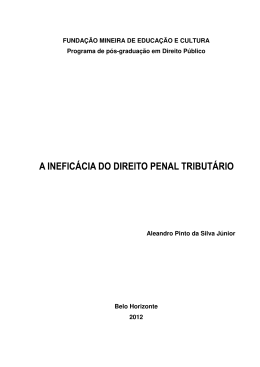 FUNDA&Ccedil;&Atilde;O MINEIRA DE EDUCA&Ccedil;&Atilde;O E CULTURA Programa de