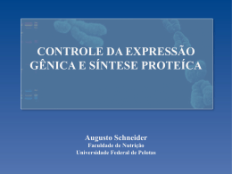 Controle da expressão gênica e síntese de proteínas