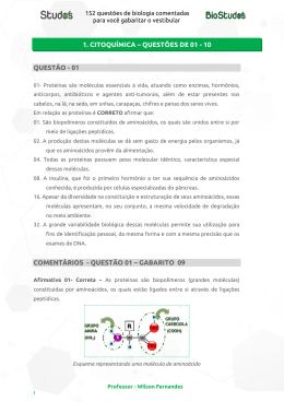 QUEST&Atilde;O - 01 COMENT&Aacute;RIOS - QUEST&Atilde;O 01