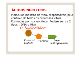 (Microsoft PowerPoint - Apres. \301cido Nucleico e S\355ntese Prot