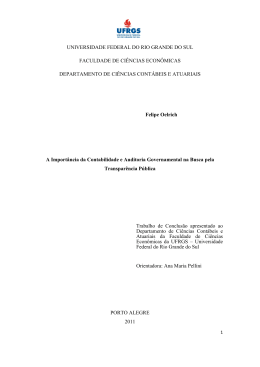 A importância da contabilidade e auditoria governamental na busca
